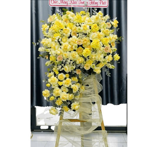  Khởi Đầu Tươi Mới