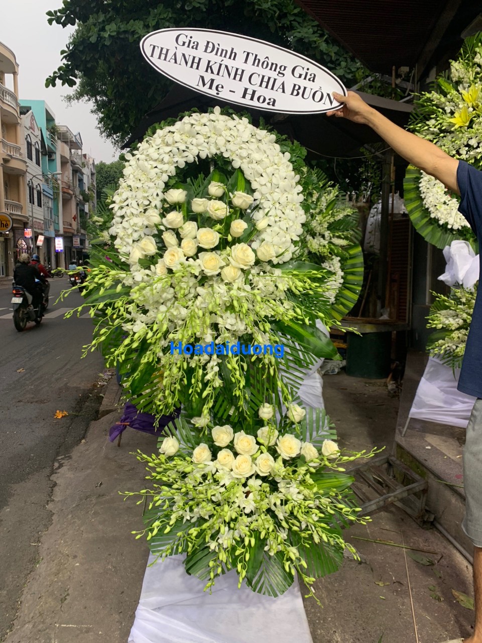 HOA CHIA BUỒN MS70
