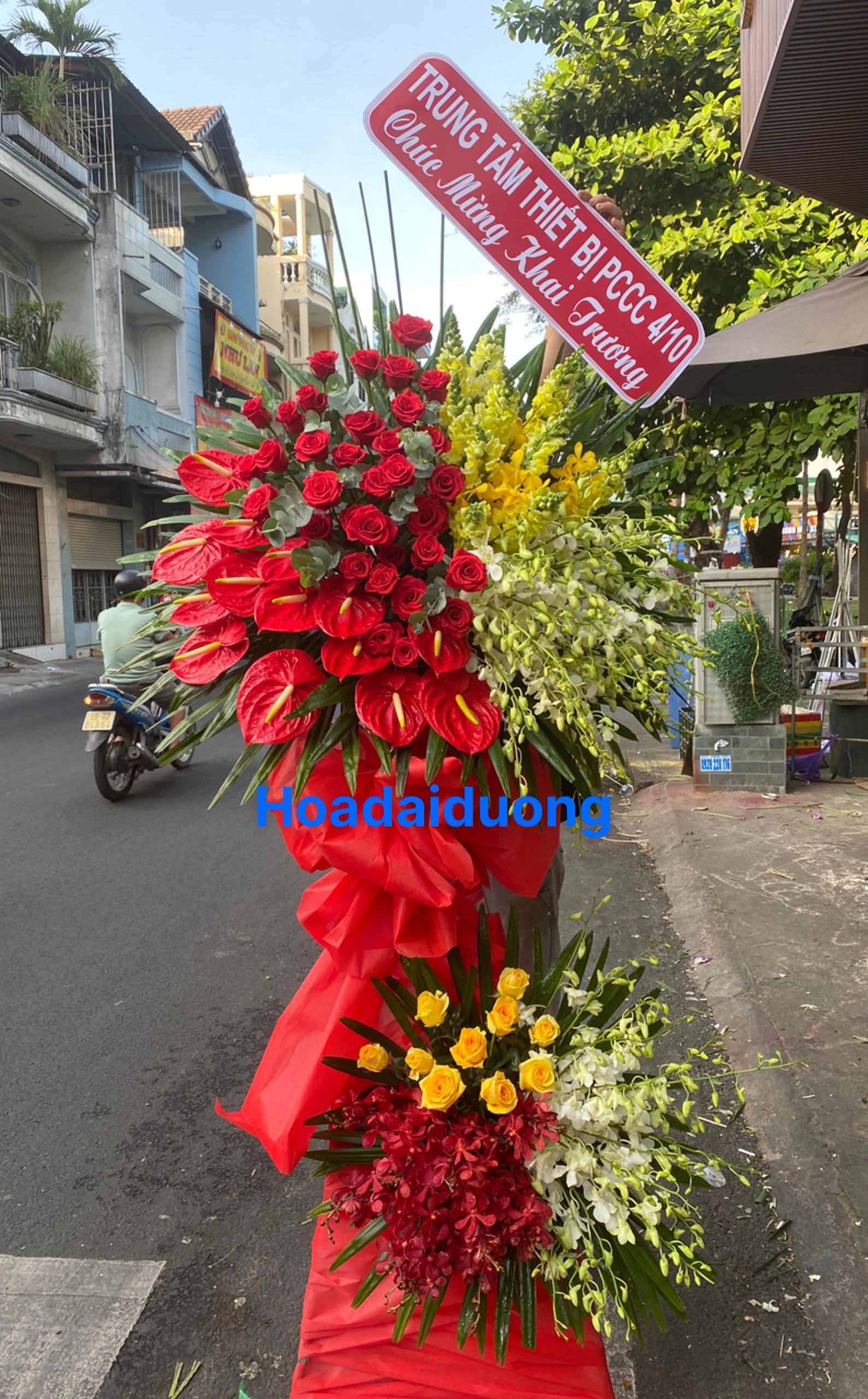 HOA CHÚC MỪNG HCM41