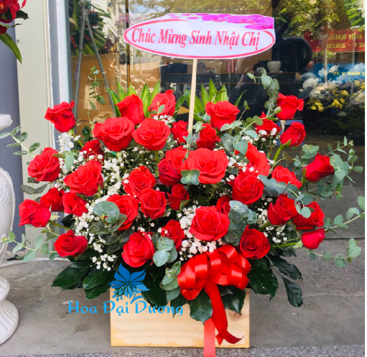 HOA HỘP HH44