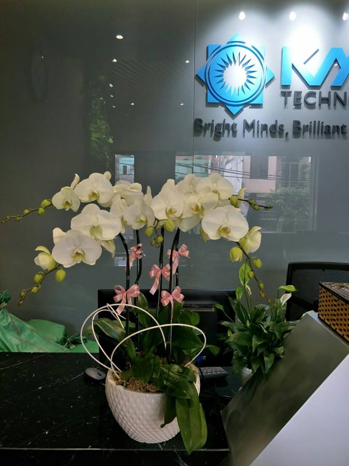 HOA LAN HỒ ĐIỆP 06