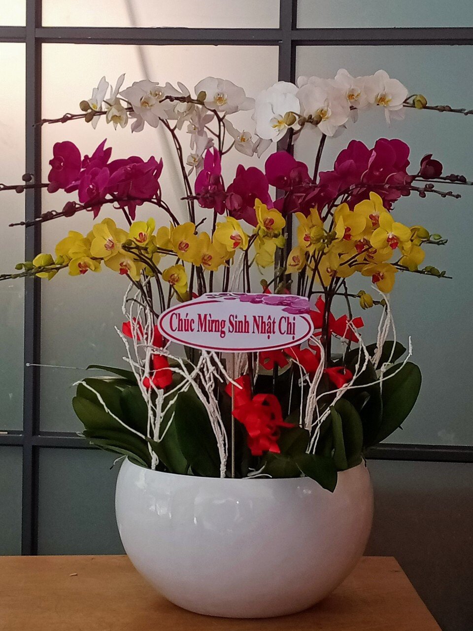 HOA LAN HỒ ĐIỆP 46