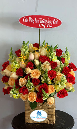 KHAI TRƯƠNG HỒNG PHÁT 36