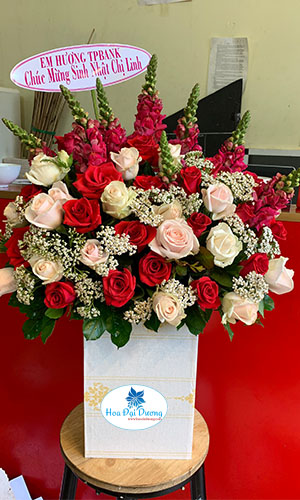 VƯỜN HOA XINH HH12