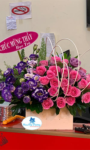 TÍM THỦY CHUNG HH26