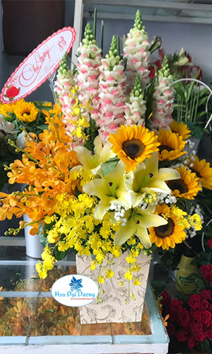 NGÀY NẮNG HH27